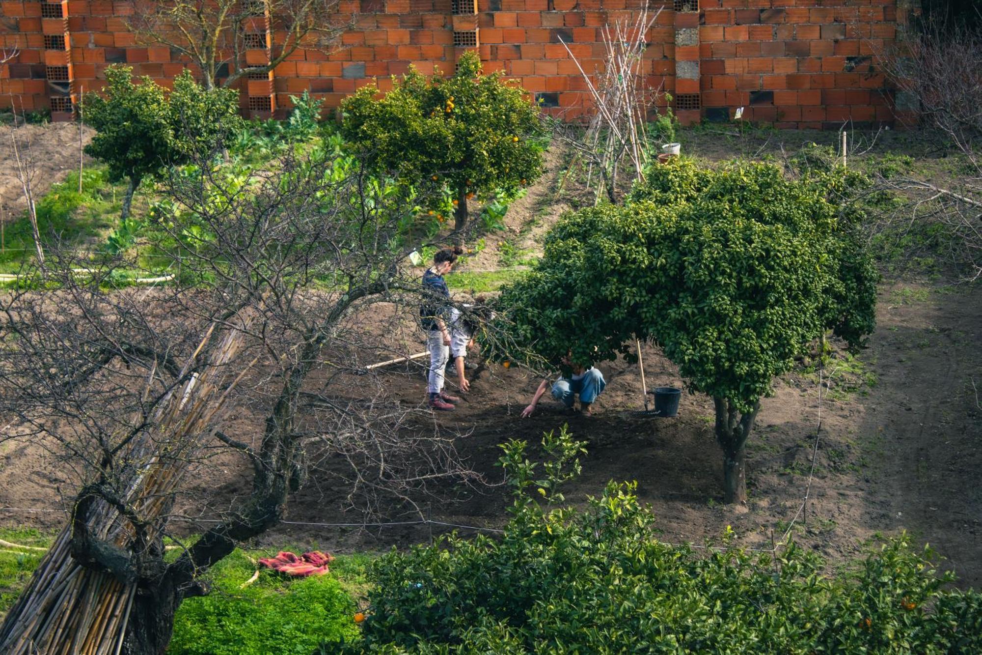 Montijo Garden - Private Rooms Exterior photo