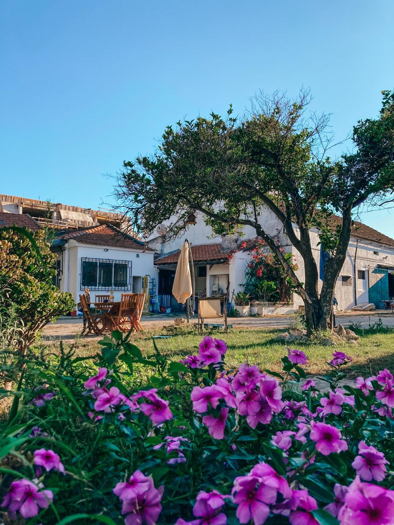 Montijo Garden - Private Rooms Exterior photo