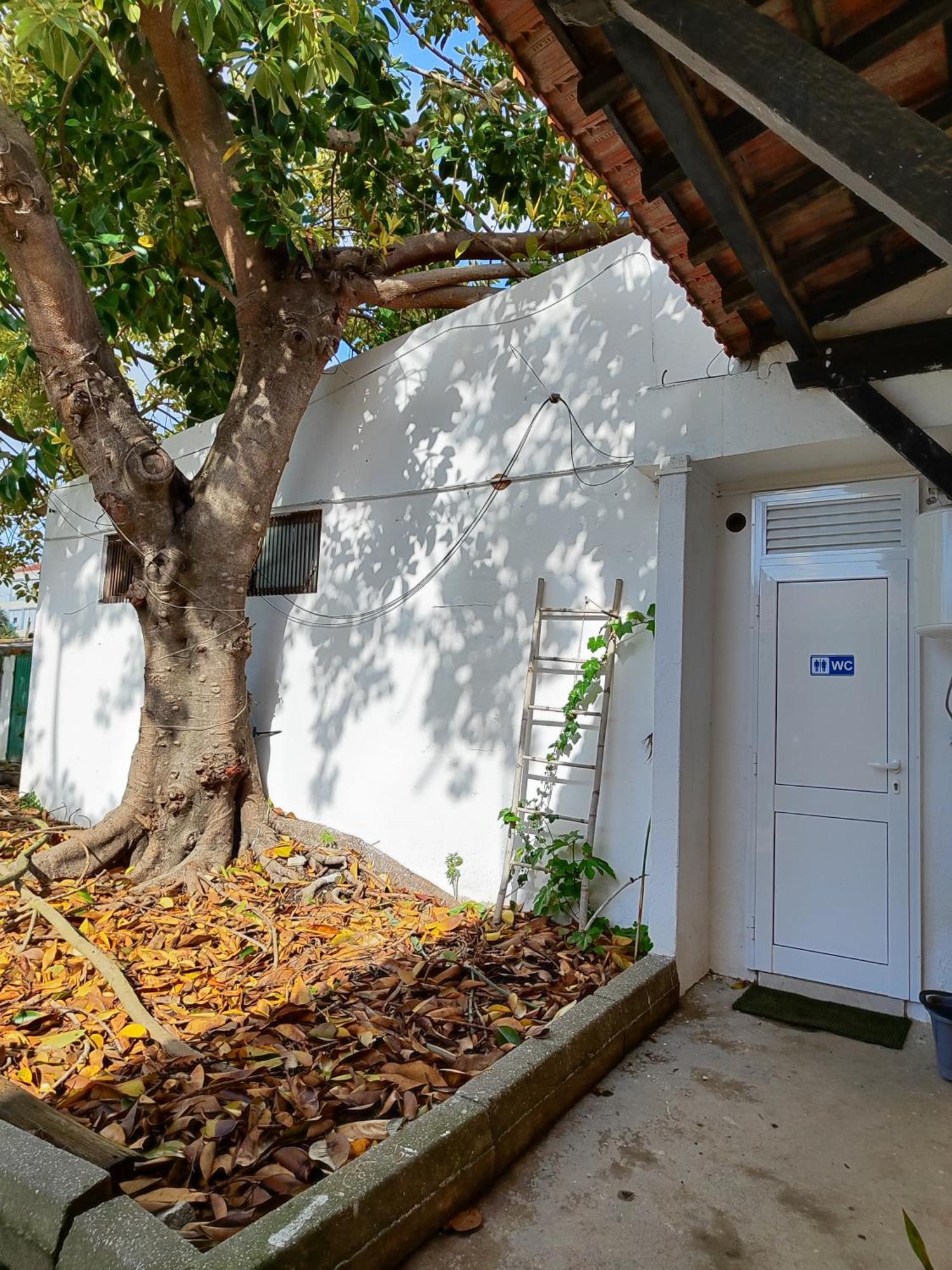 Montijo Garden - Private Rooms Exterior photo